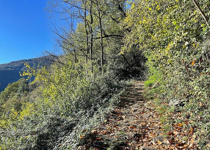 Casa Stefanie -traum Mit Seesicht Appartement